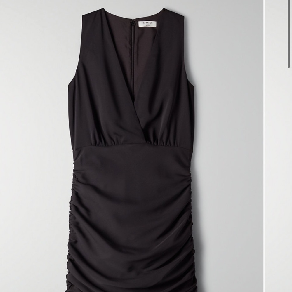 Aritzia Viva Dress NWT